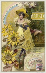 Yellow by European School