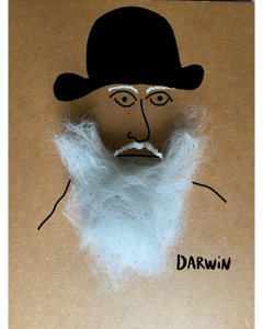 Charles Darwin by Evan Sklar