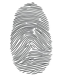 Drawing of a Fingerprint, Brooklyn by Evan Sklar