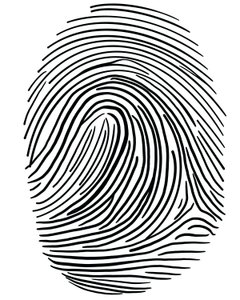 Drawing Of A Finger Print Brooklyn by Evan Sklar