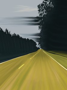 Driving to Columbia, South Carolina by Evan Sklar