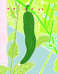 First Cucumber by Evan Sklar