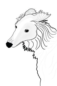 Line Drawing of Silken Windhound by Evan Sklar