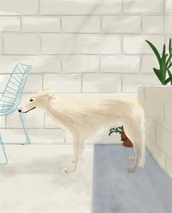 Penny on the Back Porch, 2017