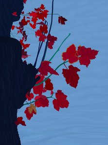 Red Maple, October by Evan Sklar