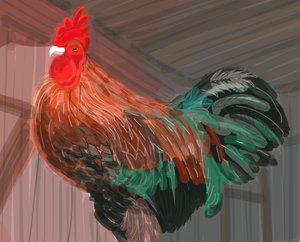 Rooster in Barn, 2018