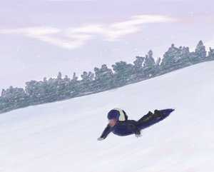 Sledding, Hudson Valley by Evan Sklar