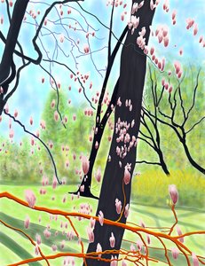Tulip Tree by Evan Sklar