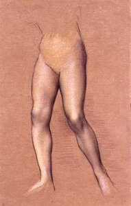Figure Study