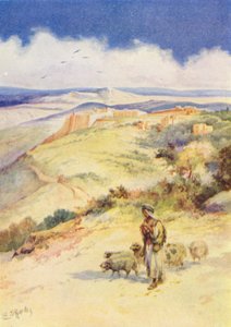 David the Shepherd Boy by Evelyn Stuart Hardy