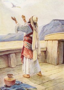 Noah and the Dove