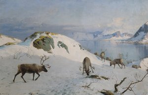 Reindeer by the Sea