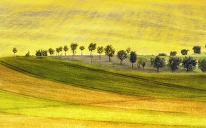 Rolling Hills And Trees by Ewa Całkosińska-Kajzer