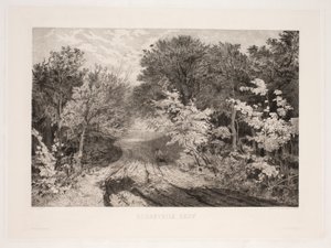 Borrevejle Forest by F. Larsen