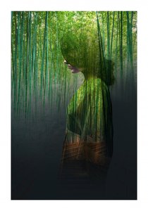 Bamboo Forest Woman by Fadil Roze