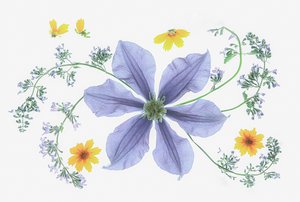 Fresh Floral Composition