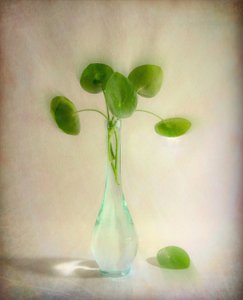 Round Leaves Glass Vase