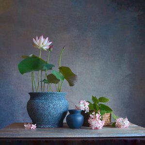 Serene Lotus Still Life