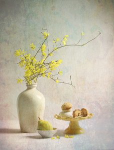 Yellow Forsythia Delights