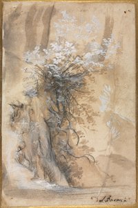 Flowering Bush Above an Eroded Bank, 1565-1570