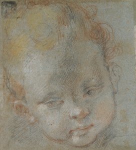 Head of a Child, late 16th century