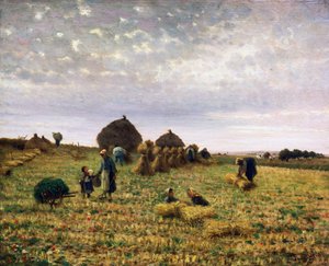 Harvest by Federico Rossano