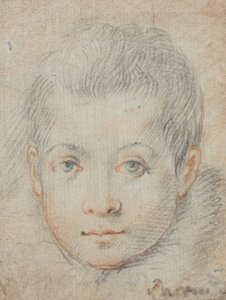 Head of a Boy by Federico Zuccaro