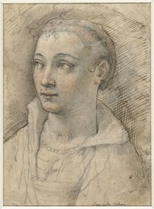 Portrait of an Unknown Woman by Federico Zuccaro