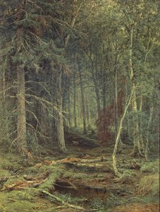 Swamp in the Forest, Autumn, 1872