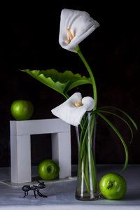 Calla Lilies Green Apples