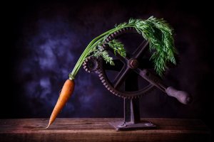 Carrot and Iron Gears