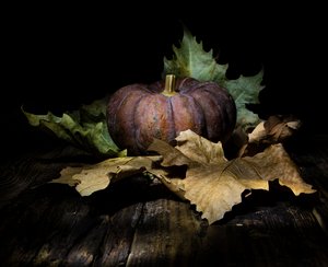Dark Autumn Pumpkin