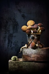 Earthy Mushroom Still Life