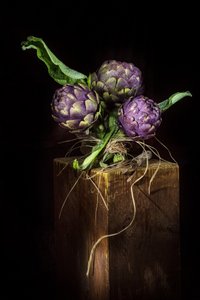 Elegant Purple Artichokes