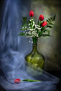 Elegant Tulips In Glass by Felice Angelino