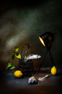 Mackerel and Lemon Light by Felice Angelino