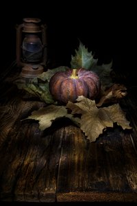 Moody Autumn Harvest