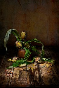 Rustic Artichoke Still Life