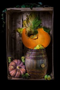 Rustic Autumn Pumpkins