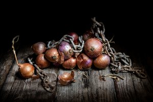 Rustic Onions and Chain