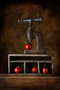 Rustic Tomato Press