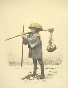 A Japanese Indentured Worker