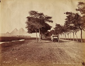 Cairo. Avenue of Pyramids