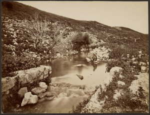The Fountain of Elisha, Palestine by Félix Bonfils