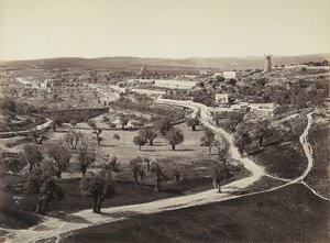 Valley landscape with a windmill and olive groves