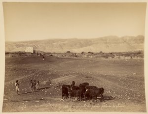 General View of Jericho Taken from the Plain by Félix Bonfils