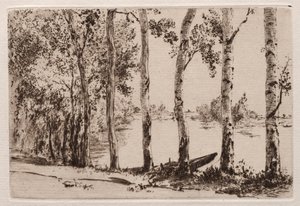 Aspens on the Bank of the Seine by Felix Bracquemond
