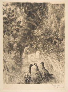 Surprised Ducks by Felix Bracquemond