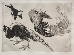 Dinner Service (Rousseau service): Pheasants and Bird (no. 18) by Felix Bracquemond