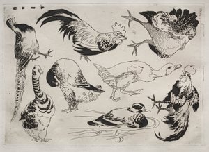 Dinner Service (Rousseau service): Roosters, Ducks, etc. (no. 13) by Felix Bracquemond
